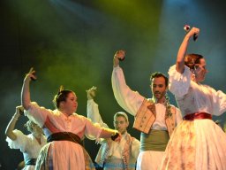 Festival de Folkore en Mula